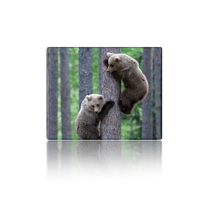
					Килимок 250*300 тканинний Two Bears, з боковою прошивкою, товщина 2 мм